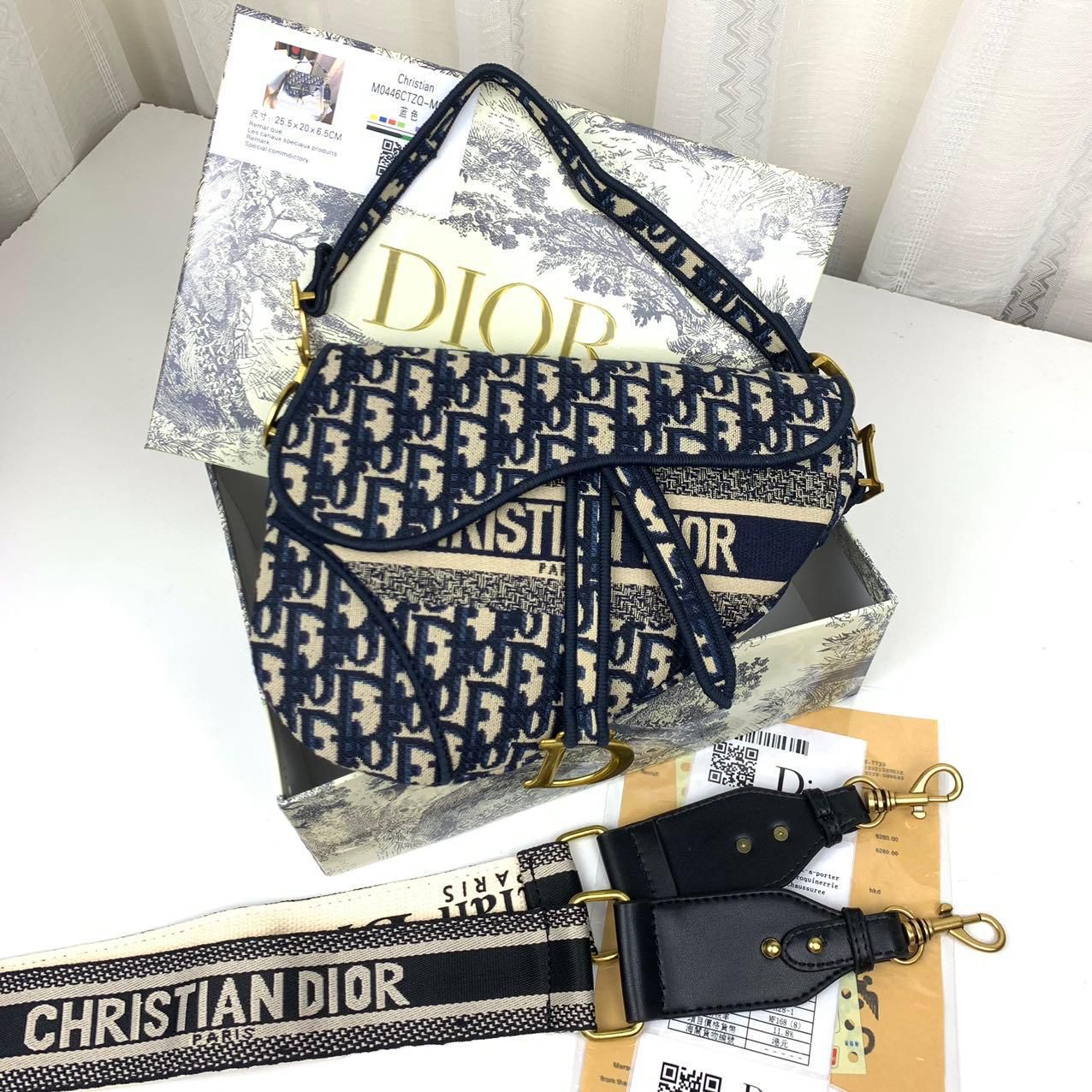 ๐๐๐๐ ๐ Oblique Embroidered Saddle Bag